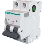 INT TERMOMAG 2X16 JELUZ 4.5kA