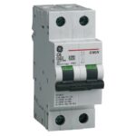 INT TERMOMAG 2X32A GE