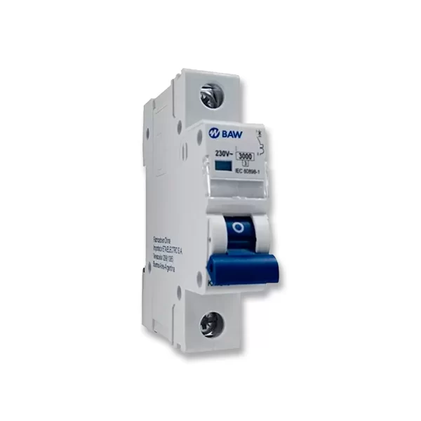 INT TERMOMAG 1X20A BAW