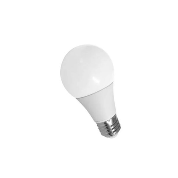 LAMP LED 12W E27 2700K