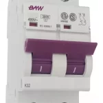 INT TERMOMAG 2X10A BAW